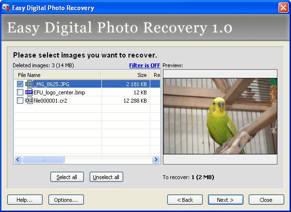 Screenshot vom Programm: Easy Digital Photo Recovery