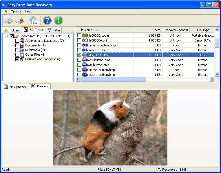 Screenshot vom Programm: Easy NTFS Data Recovery